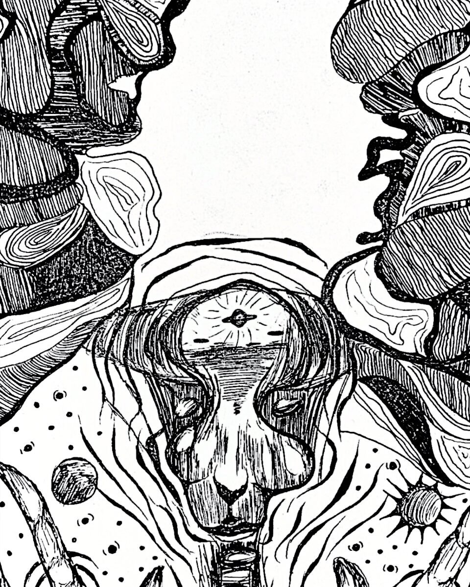 Ilustraciones: Romina Narciso