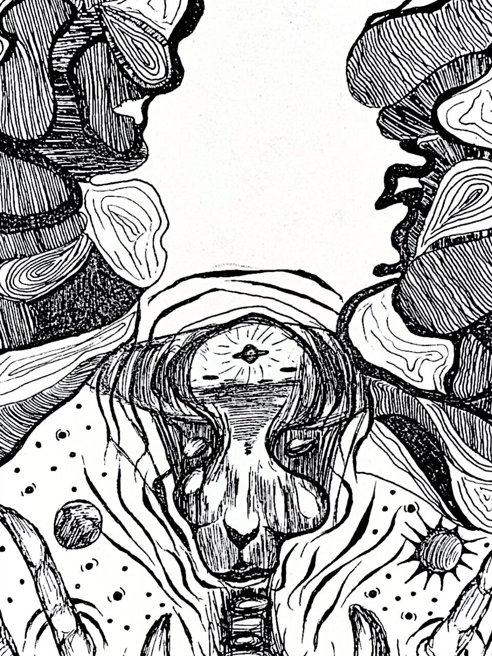 Ilustraciones: Romina Narciso